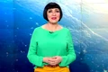 neti sandu