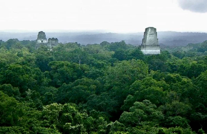 Tehnologia laser cunoscută sub numele de LiDAR elimină în mod digital straturile de vegetaţie pentru a descoperi ruinele antice ascunse, arătând că oraşele Maya, cum ar fi Tikal, erau mult mai mari decât o arăta cercetarea pe sol. FOTO: Uncovered history.com.