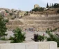 iordania