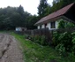 Muntii Poiana Rusa zona Ruschița Foto Daniel Guță  ADEVĂRUL (17) jpg
