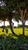15741218 1027844944011223 8452888971657236765 n jpeg