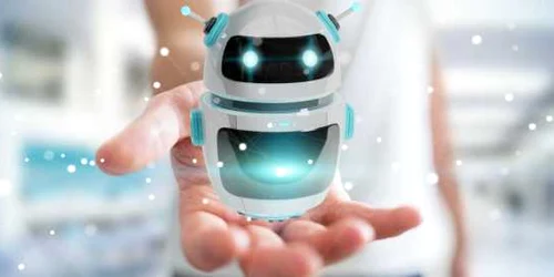 Bot in mana boti FOTO Shutterstock