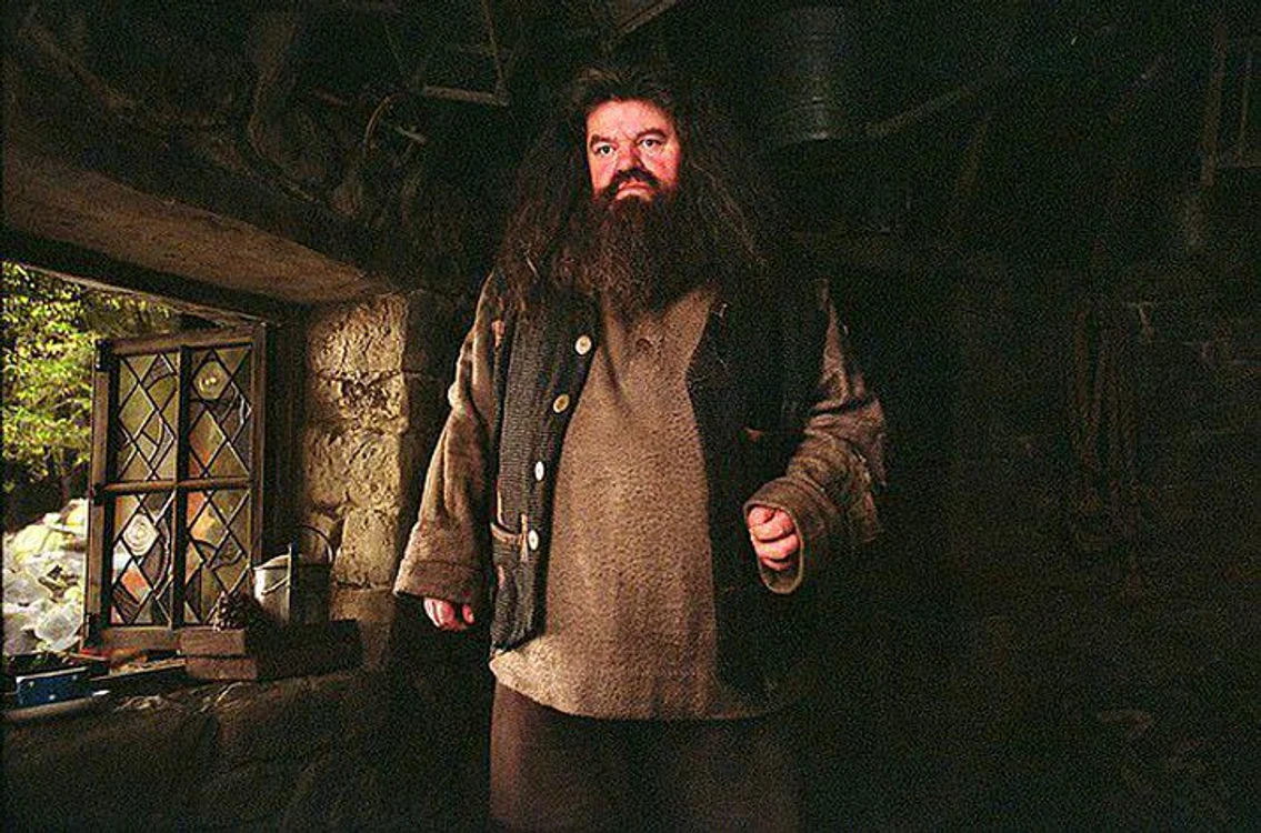 
    Hagrid din „Harry Potter“  