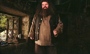 hagrid 10958494 6806461 image a 171 1552519151542 jpeg