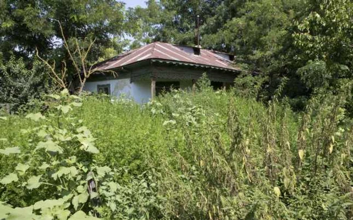 Lupele Galati FOTO C Crângan