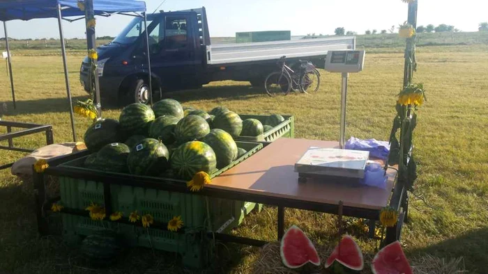 Festivalul Lubeniţei din 2016 FOTO Ştefan Both