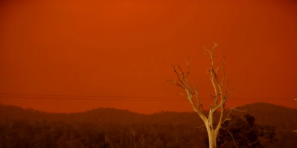 Cerul s-a făcut roşu în Australia. FOTO Guliver/Gettyimages