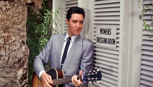 elvis32 jpg