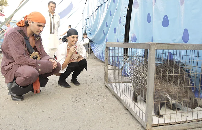 La filmările pentru noul sezon “Serviţi, vă rog!”, Pepe şi Roxana au avut de-a face cu tot soiul de animale haioase de la circ