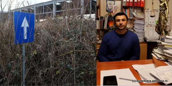 avocatul mihai badoi si terenul viiitoarei fabrici