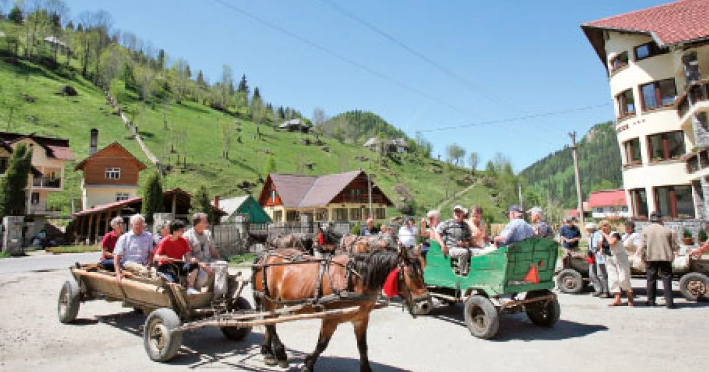 La fel ca şi anul trecut, turiştii care îşi vor petrece Paştele în zona Bran – Moeciu se vor putea plimba cu trăsurile 