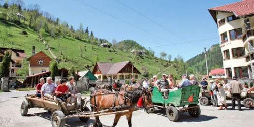 La fel ca şi anul trecut, turiştii care îşi vor petrece Paştele în zona Bran – Moeciu se vor putea plimba cu trăsurile 