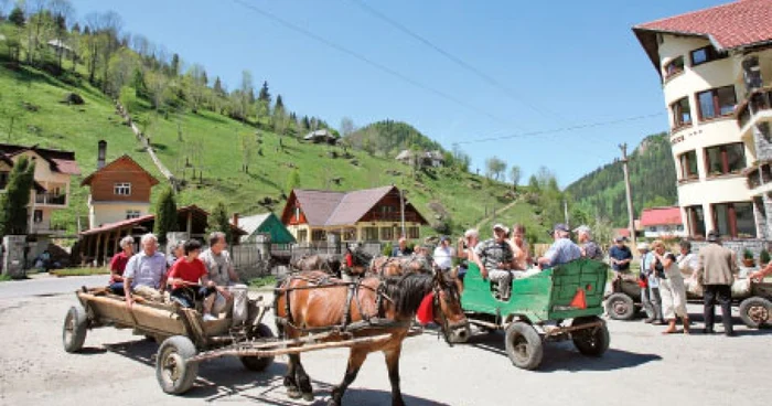 La fel ca şi anul trecut, turiştii care îşi vor petrece Paştele în zona Bran – Moeciu se vor putea plimba cu trăsurile 