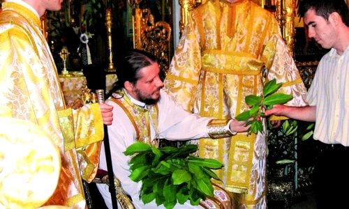 1 69880 original jpg jpeg