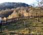 cetatea dacica piatra rosie foto adevarul daniel guta