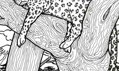 optical illusion iq test jpg