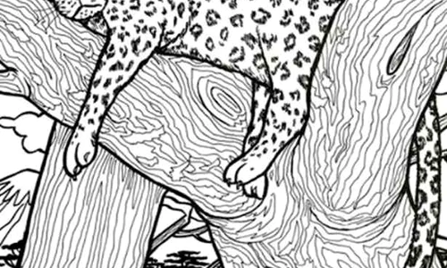 optical illusion iq test jpg