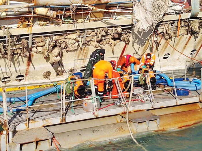 Bietele animale  s-au înecat  când nava a eșuat  în Portul Midia