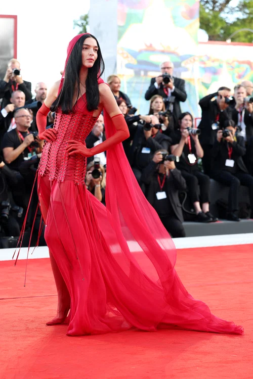 Mariacarla Boscono, într-o rochie Dolce & Gabbana (Foto: GettyImages)