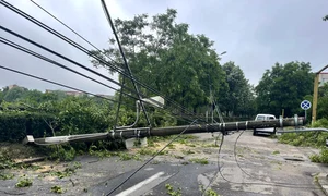 Furtună puternică în Timiş FOTO Facebook/Severe Weather Alert România