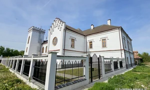 Castelul Nopcsa din Săcel  Foto Daniel Guță  ADEVĂRUL (3) jpg
