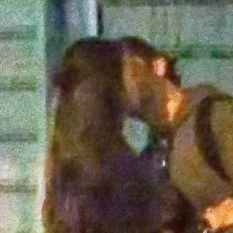 Bradley Cooper si Irina Shayk