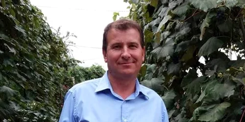 costel nazare