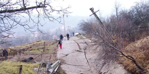 Vâlcea se împădureşte cu fonduri de la UE