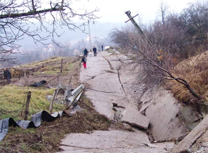Vâlcea se împădureşte cu fonduri de la UE