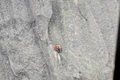 alpinisti profimedia (2) jpg