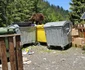 Urs pe Transfăgărășan Foto Daniel Guță ADEVĂRUL (151) jpg
