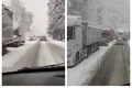 ninsori trafic jpg