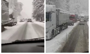 ninsori trafic jpg