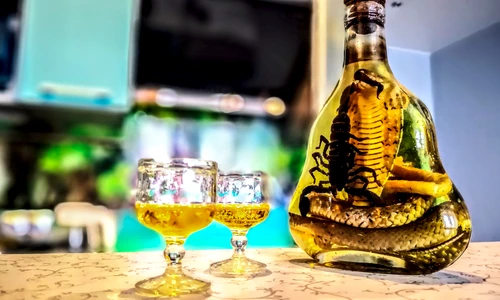 1 shutterstock 1225459159 jpg jpeg