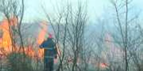 Val de incendii la marginea padurilor din mai multe localitati valcene