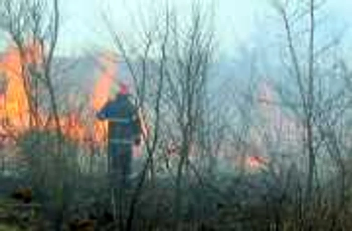 Val de incendii la marginea padurilor din mai multe localitati valcene