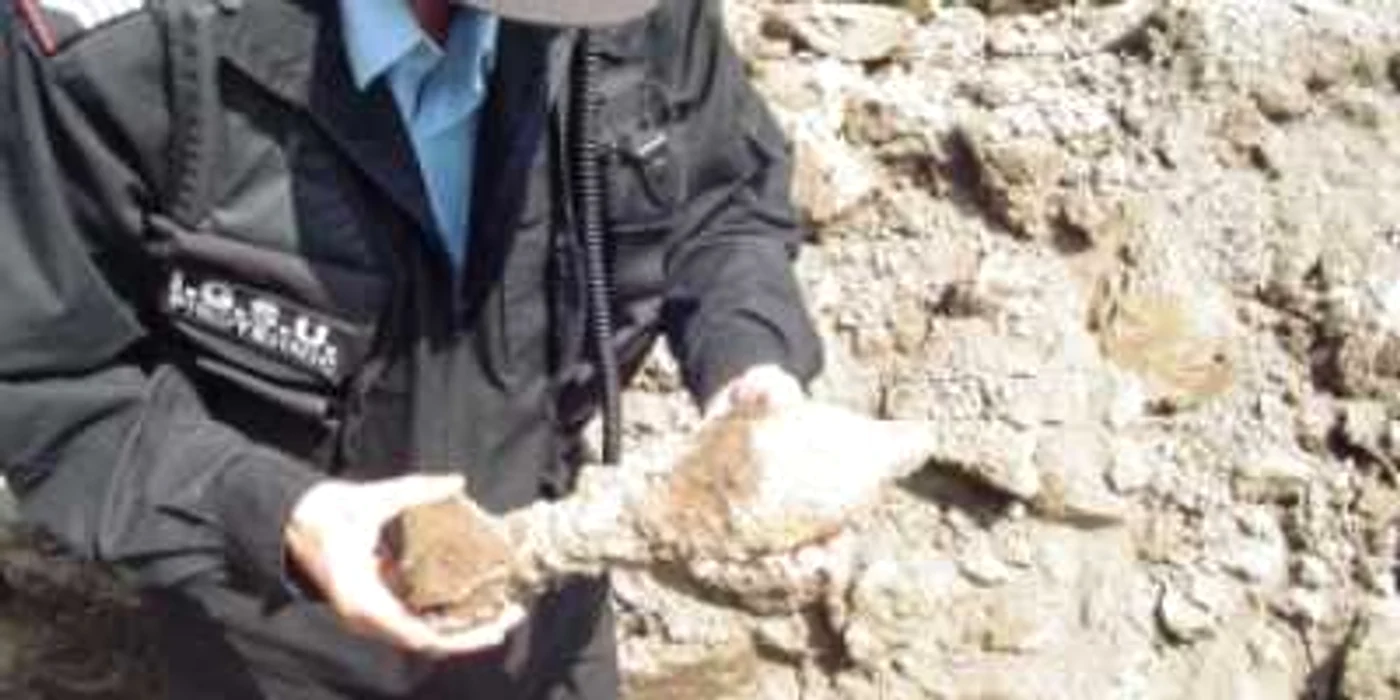 Suceava: Un sucevean a scăpat nevătămat după ce a lovit cu hârlețul o bombă