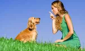 fata cu catel shutterstock 5218147 jpeg