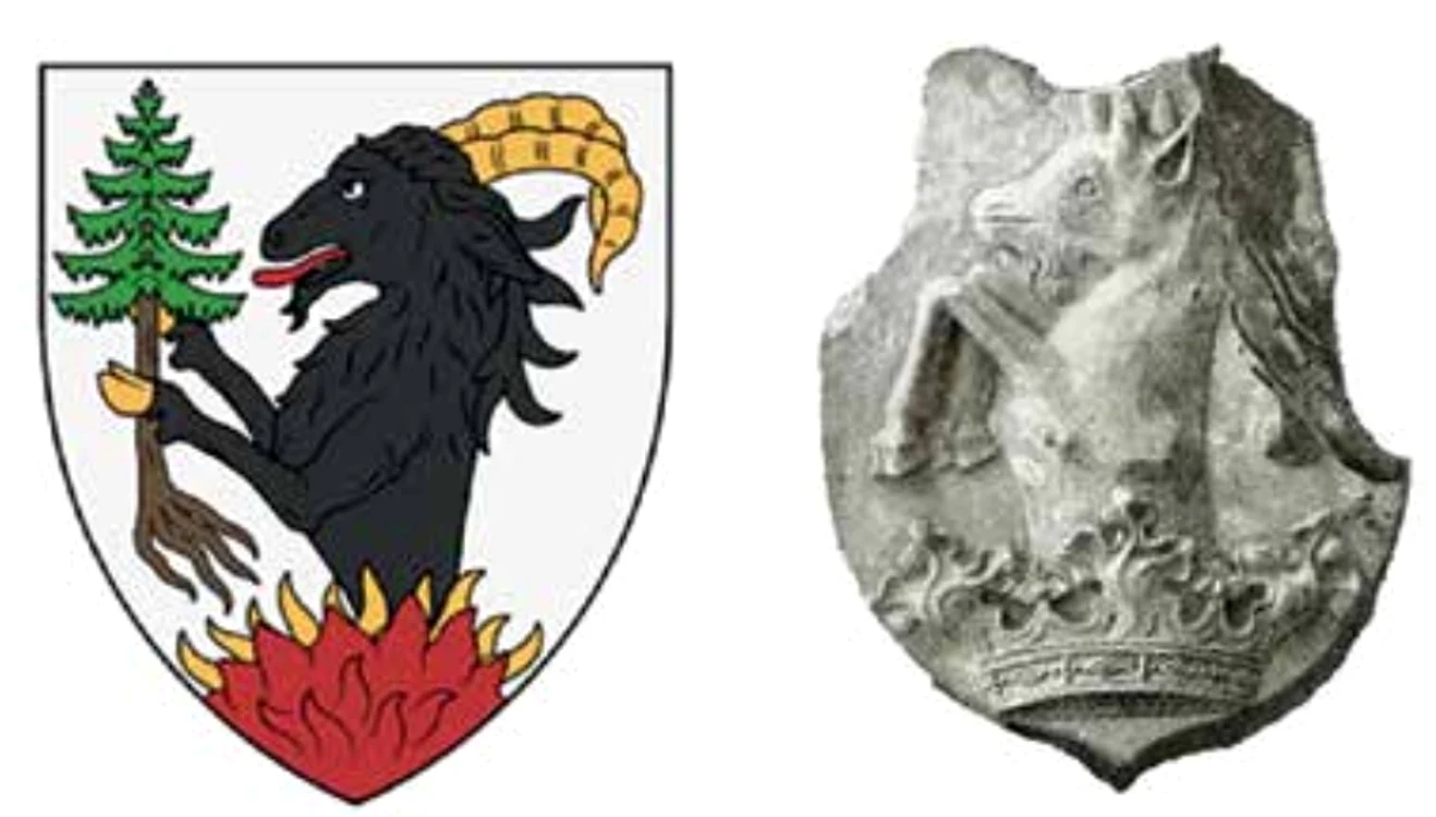 blazon jpg jpeg