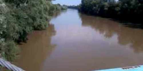 Someșul la Podul Galben (foto: arhiva)