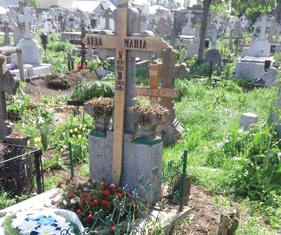 
    Puiu Gherasi,  fiul vitreg al Mariei Stan: 