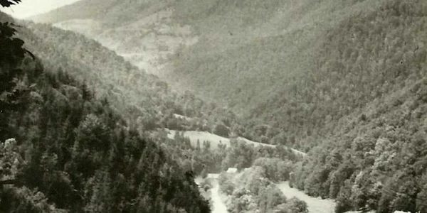 valea somesului 