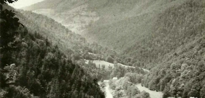 valea somesului