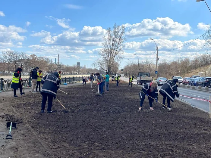 Plantări de arbori pe malul Dâmboviței FOTO Facebook Nicușor Dan