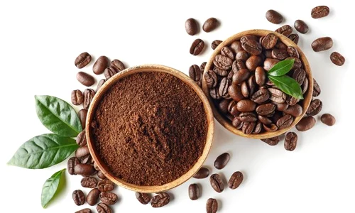 1 shutterstock 1369776482 jpg jpeg