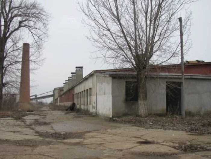 Fabrica de cărămidă din Ţăndărei este astăzi o ruină FOTO: M.S.