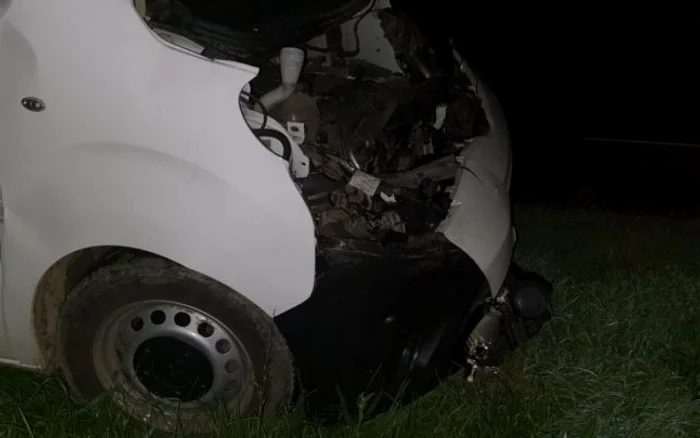 Ursul a dispărut în pădure după ce a fost lovit în plin de mașina aflată în mișcarefoto: pressalert.ro