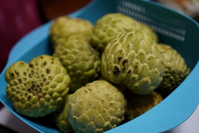 Cherimoya poate fi considerat regele fructelor FOTO: Getty Images