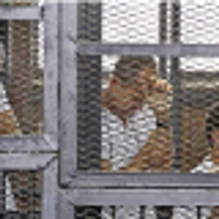 De la stânga la dreapta: Mohamed Fahmy, Peter Greste şi Baher Mohamed. Cei trei jurnalişti au fost condamnaţi astăzi de un tribunal din Cairo. FOTO:AP