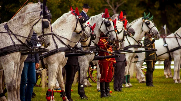 Karpatia Horse Show, trei zile de basm la Domeniul Floreşti jpeg